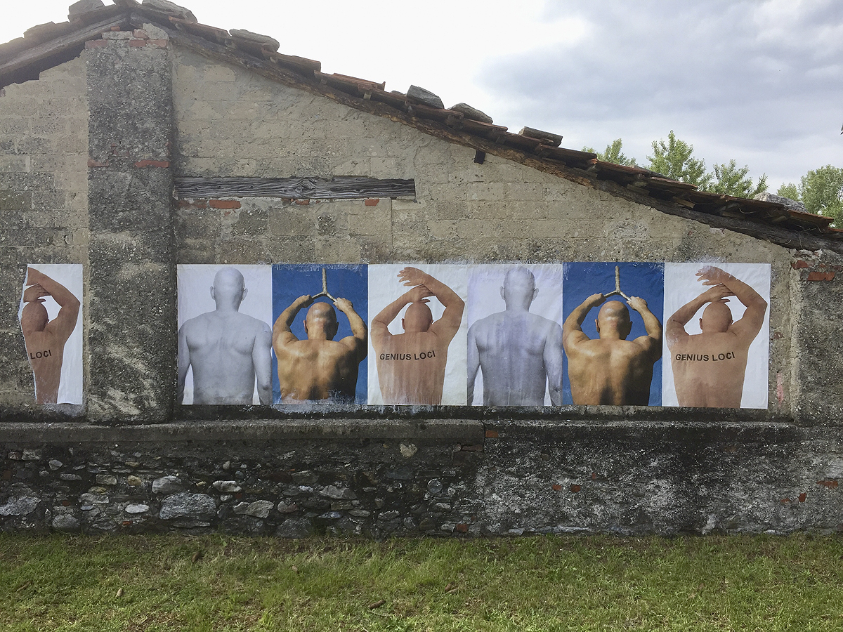 Vedute dell’installazione 1. Villa Petrolo, Ticinallo, 2019.